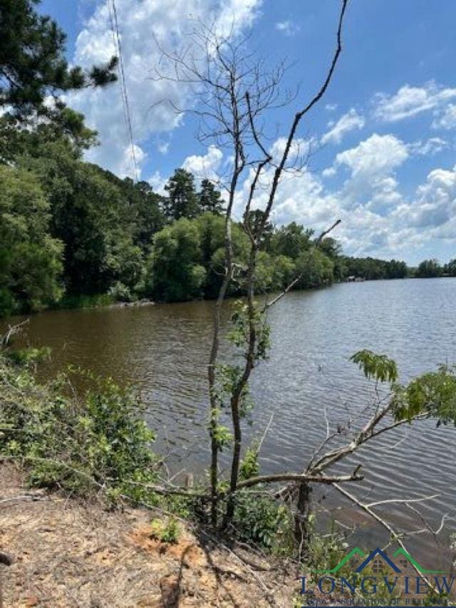 TBD E Lake Devernia, Longview, TX 75604 - photo 1