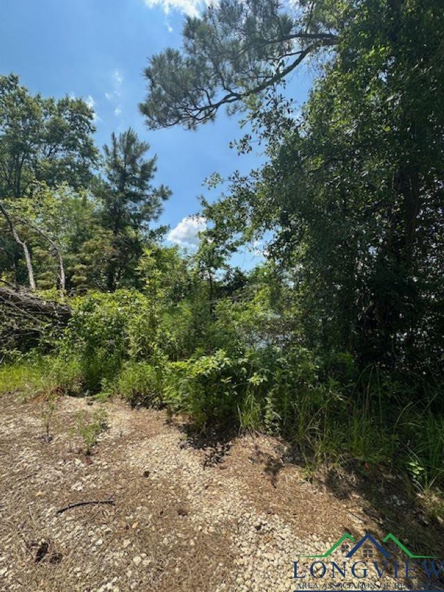 TBD E Lake Devernia, Longview, TX 75604 - photo 14