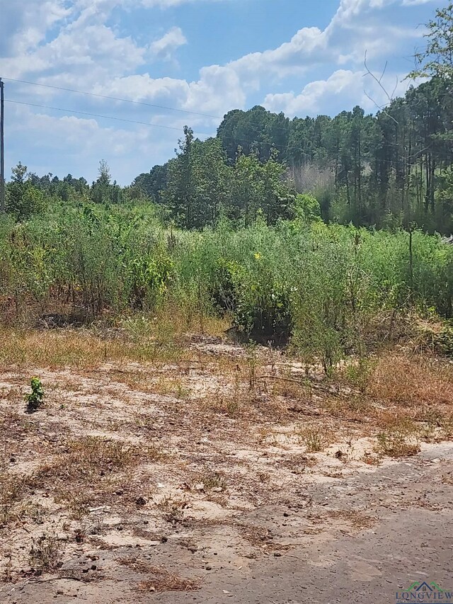TRACT4TBD County Rd 1762, Jefferson, TX 75563 - photo 7
