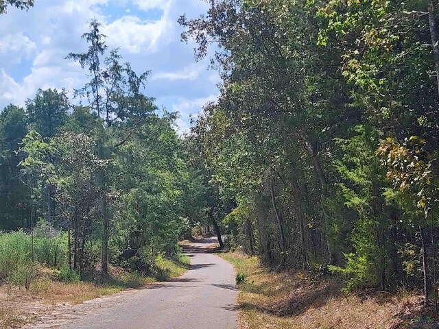 TRACT4TBD County Rd 1762, Jefferson, TX 75563 - photo 6