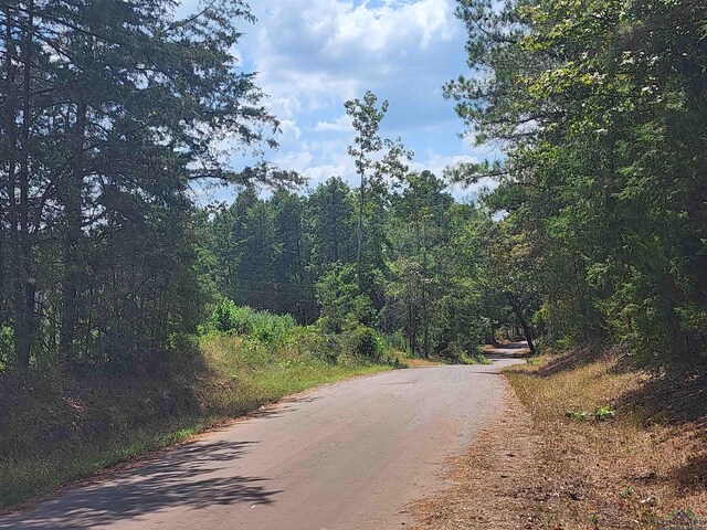 TRACT4TBD County Rd 1762, Jefferson, TX 75563 - photo 2
