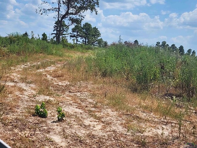 TRACT4TBD County Rd 1762, Jefferson, TX 75563 - photo 1