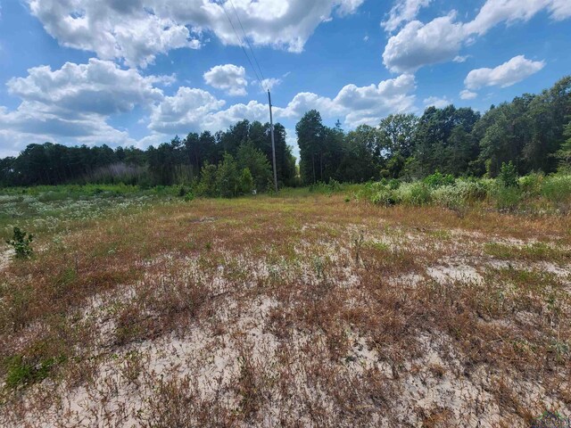 TRACT4TBD County Rd 1762, Jefferson, TX 75563 - photo 3