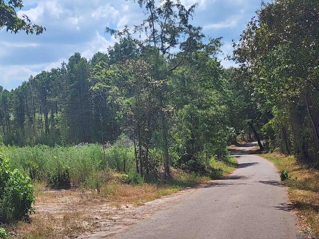 TRACT4TBD County Rd 1762, Jefferson, TX 75563 - photo 13