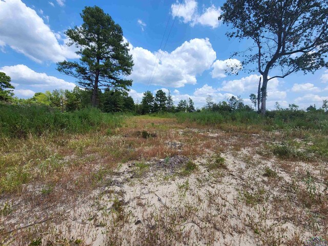TRACT4TBD County Rd 1762, Jefferson, TX 75563 - photo 5