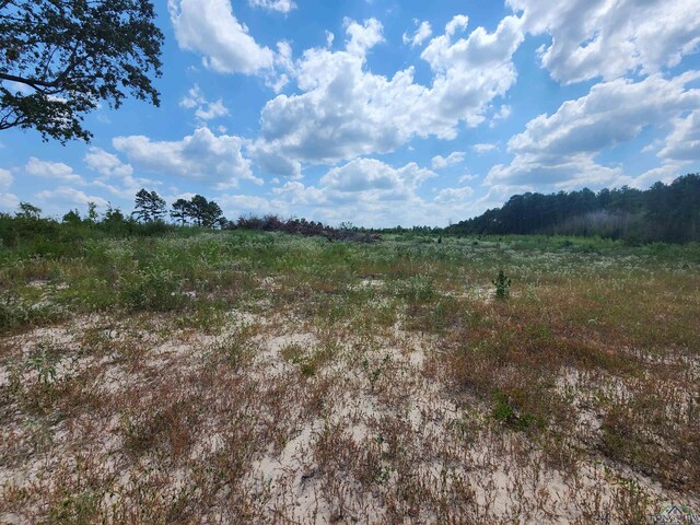 TRACT4TBD County Rd 1762, Jefferson, TX 75563 - photo 4