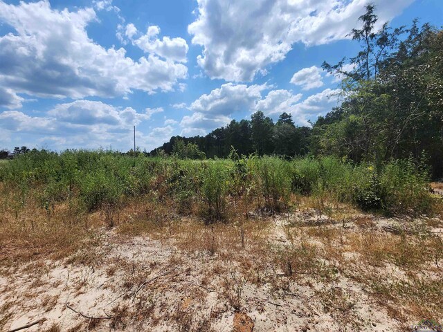 TRACT4TBD County Rd 1762, Jefferson, TX 75563 - photo 8