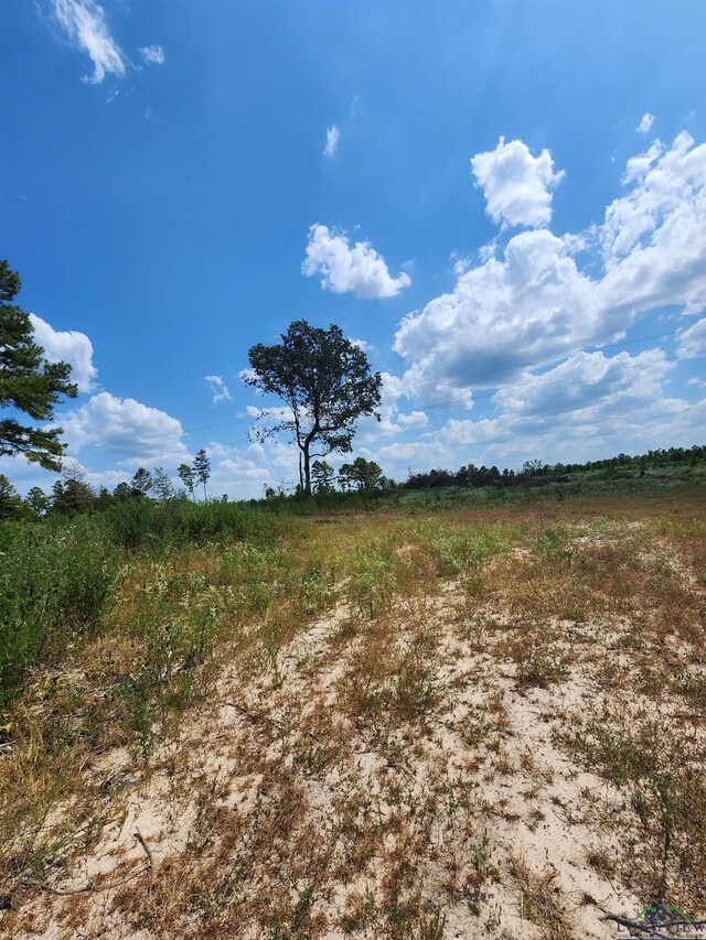 TRACT4TBD County Rd 1762, Jefferson, TX 75563 - photo 10