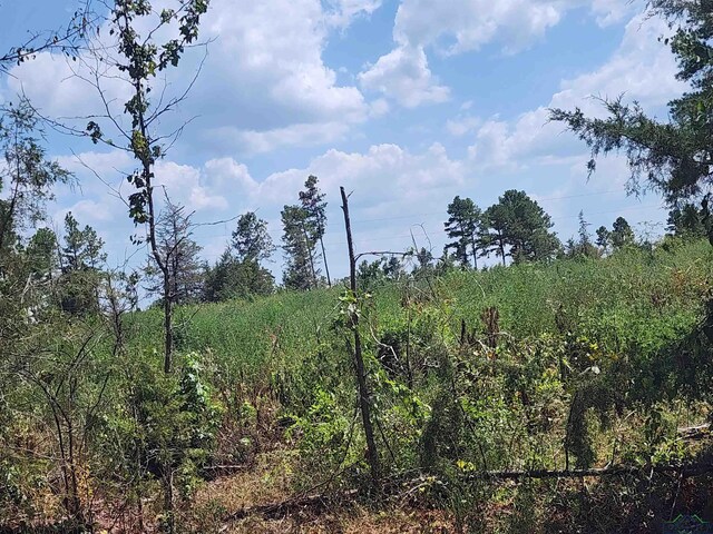 TRACT4TBD County Rd 1762, Jefferson, TX 75563 - photo 12
