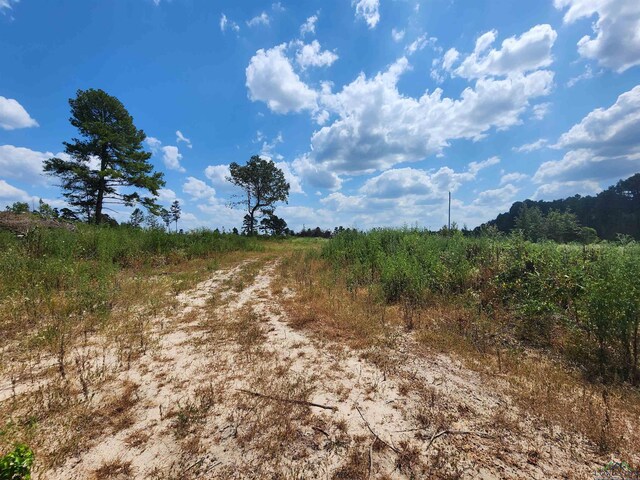 TRACT4TBD County Rd 1762, Jefferson, TX 75563 - photo 11