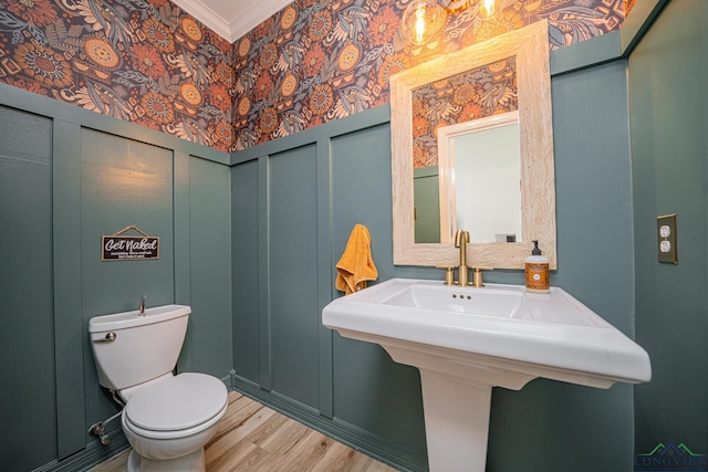 bathroom featuring wood finished floors, a sink, crown molding, a decorative wall, and toilet