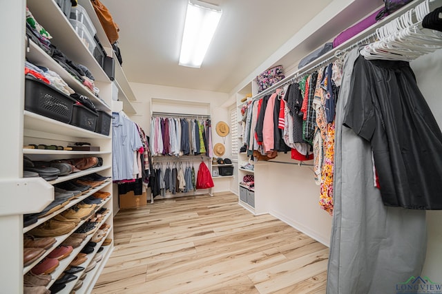 walk in closet featuring wood finished floors