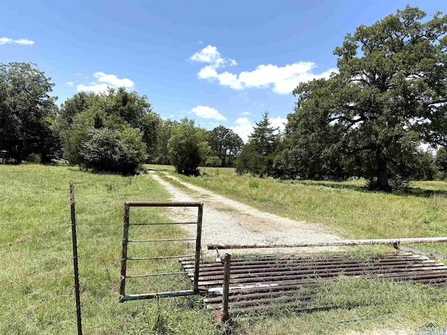 TBD County Rd 245, Beckville, TX 75631 - photo 3