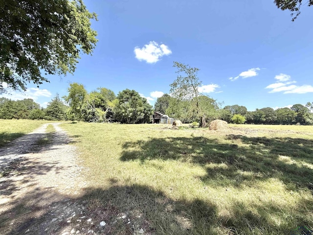 TBD County Rd 245, Beckville, TX 75631 - photo 9