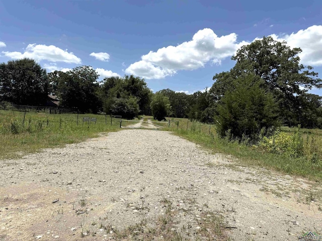 TBD County Rd 245, Beckville, TX 75631 - photo 4