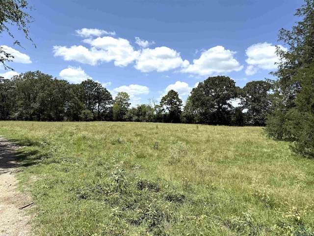 TBD County Rd 245, Beckville, TX 75631 - photo 13