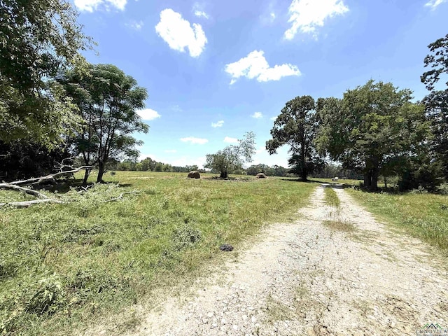 TBD County Rd 245, Beckville, TX 75631 - photo 11