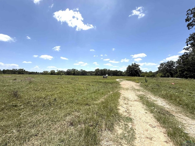 TBD County Rd 245, Beckville, TX 75631 - photo 7