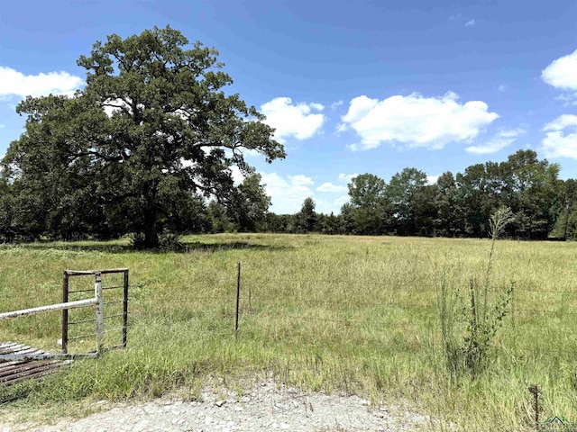 TBD County Rd 245, Beckville, TX 75631 - photo 2