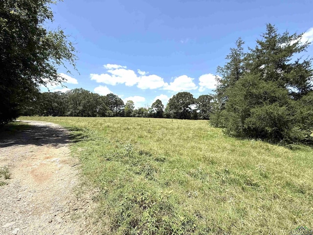 TBD County Rd 245, Beckville, TX 75631 - photo 12