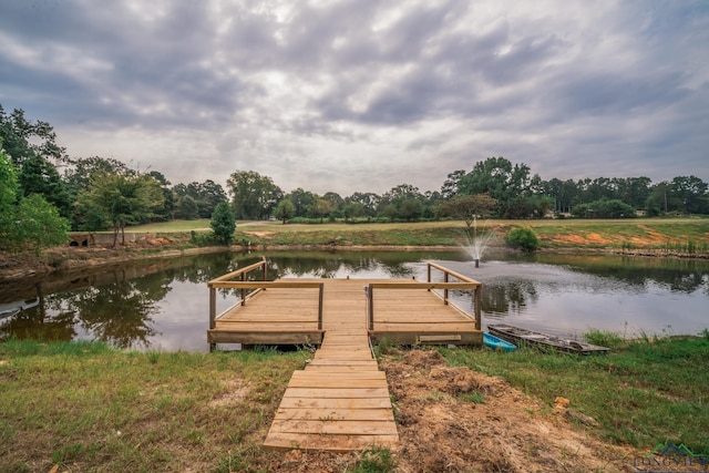 dock area with a water view