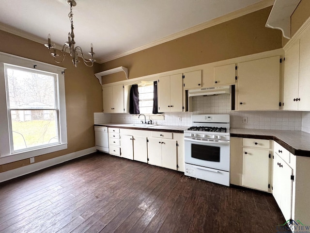 kitchen featuring sink, decorative backsplash, ornamental molding, dark wood-type flooring, and white appliances