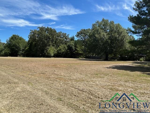 2727 Shady Holw, Mount Pleasant, TX 75455 - photo 5