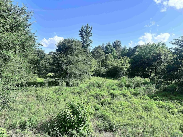 TBD Cherokee Trace, Gilmer, TX 75644 - photo 1