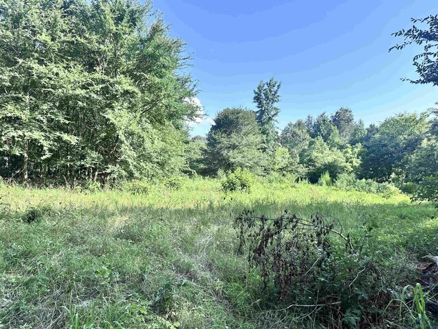 TBD Cherokee Trace, Gilmer, TX 75644 - photo 4