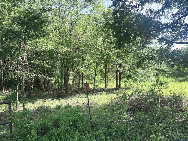TBD Cherokee Trace, Gilmer, TX 75644 - photo 6