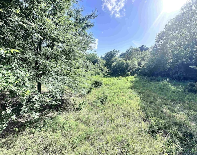 TBD Cherokee Trace, Gilmer, TX 75644 - photo 3