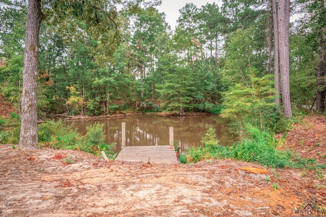 view of yard featuring a water view and a dock