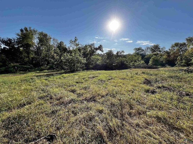 227 County Road 2997, Hughes Springs, TX 75656 - photo 33