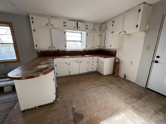 kitchen featuring white cabinetry, a wealth of natural light, and sink