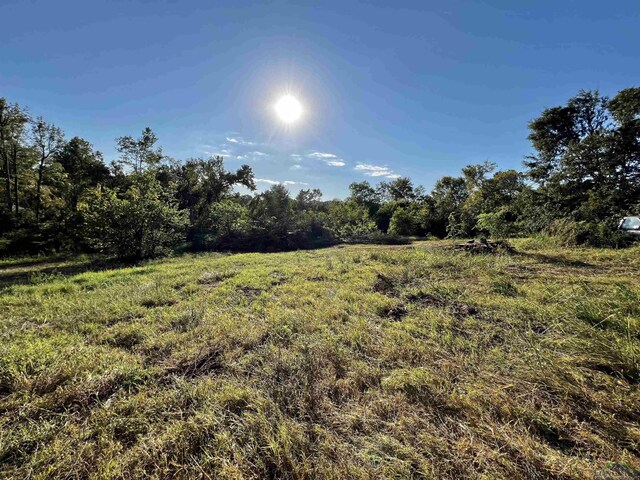 227 County Road 2997, Hughes Springs, TX 75656 - photo 31