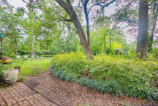 2003 Broadway Blvd, Kilgore, TX 75662 - view of green lawn