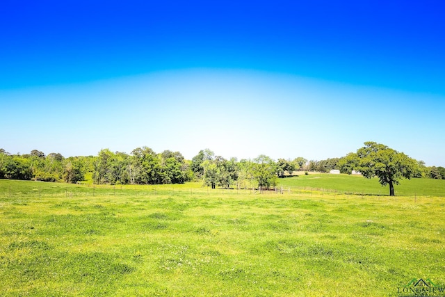 view of yard with a rural view