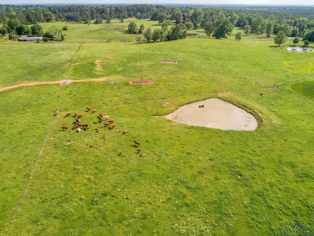 drone / aerial view with a rural view