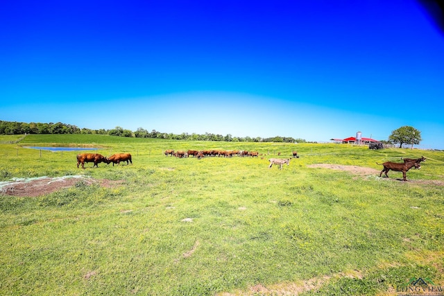 view of yard featuring a rural view