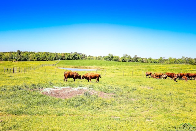 view of yard featuring a rural view