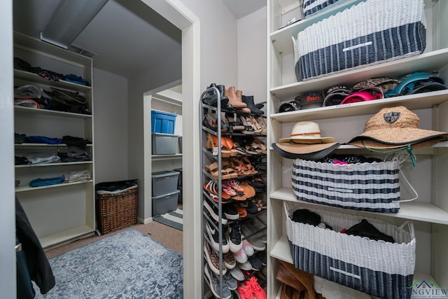 view of spacious closet