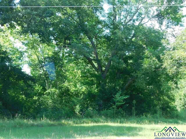 1111 Millie St, Longview TX, 75602 land for sale