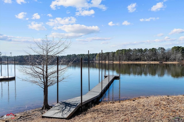 dock area with a water view