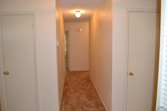 hallway with light carpet and a textured ceiling