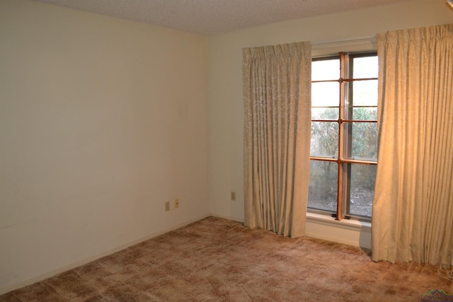 spare room featuring light colored carpet and a textured ceiling