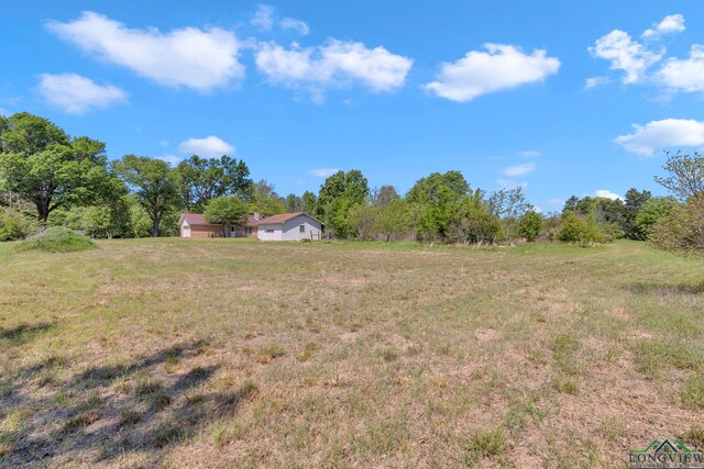 688 Inwood St, Mineola, TX 75773
