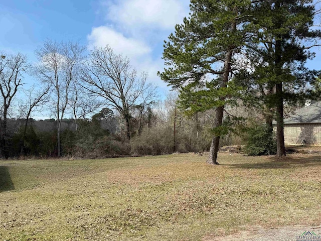 TBD Cargill St, Tatum, TX 75691 - photo 4