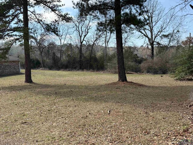 TBD Cargill St, Tatum, TX 75691 - photo 7