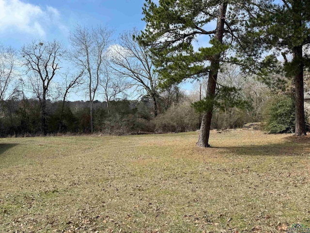 Listing photo 3 for TBD Cargill St, Tatum TX 75691