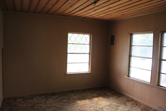 403 N Foster, Linden, TX 75563 - unfurnished room featuring healthy amount of natural light, wooden ceiling, wood walls, and carpet